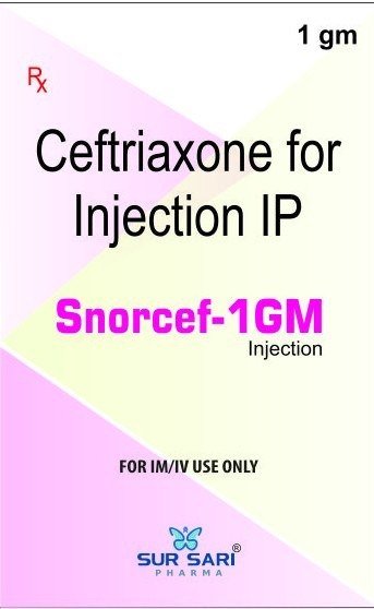 Snorcef-1GM